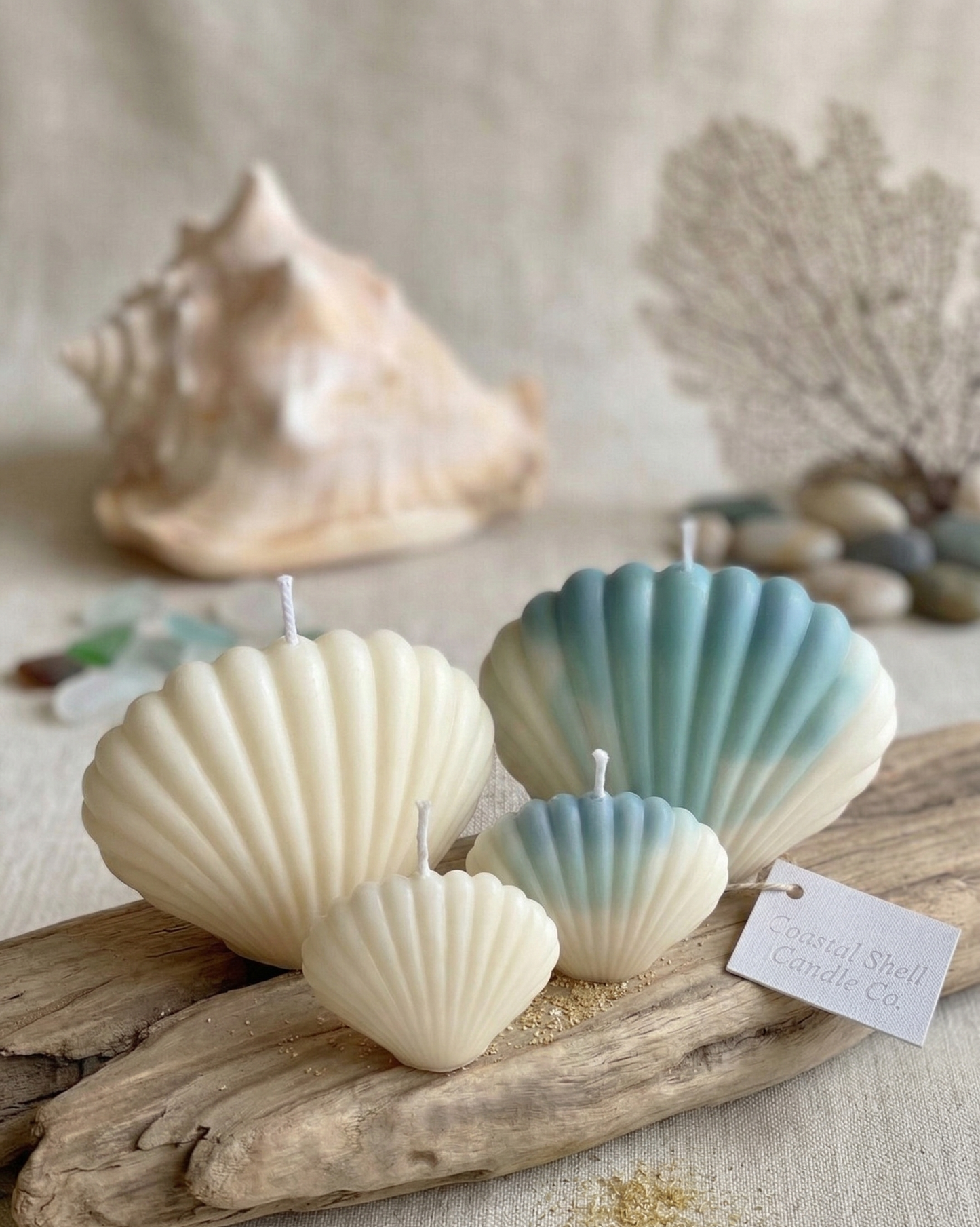 Handmade Shell Candle